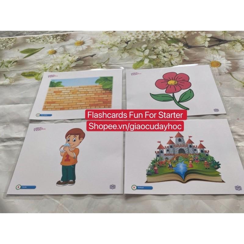 Flashcards Fun for Starter - 442 thẻ in 2 mặt ép plastics bền đẹp