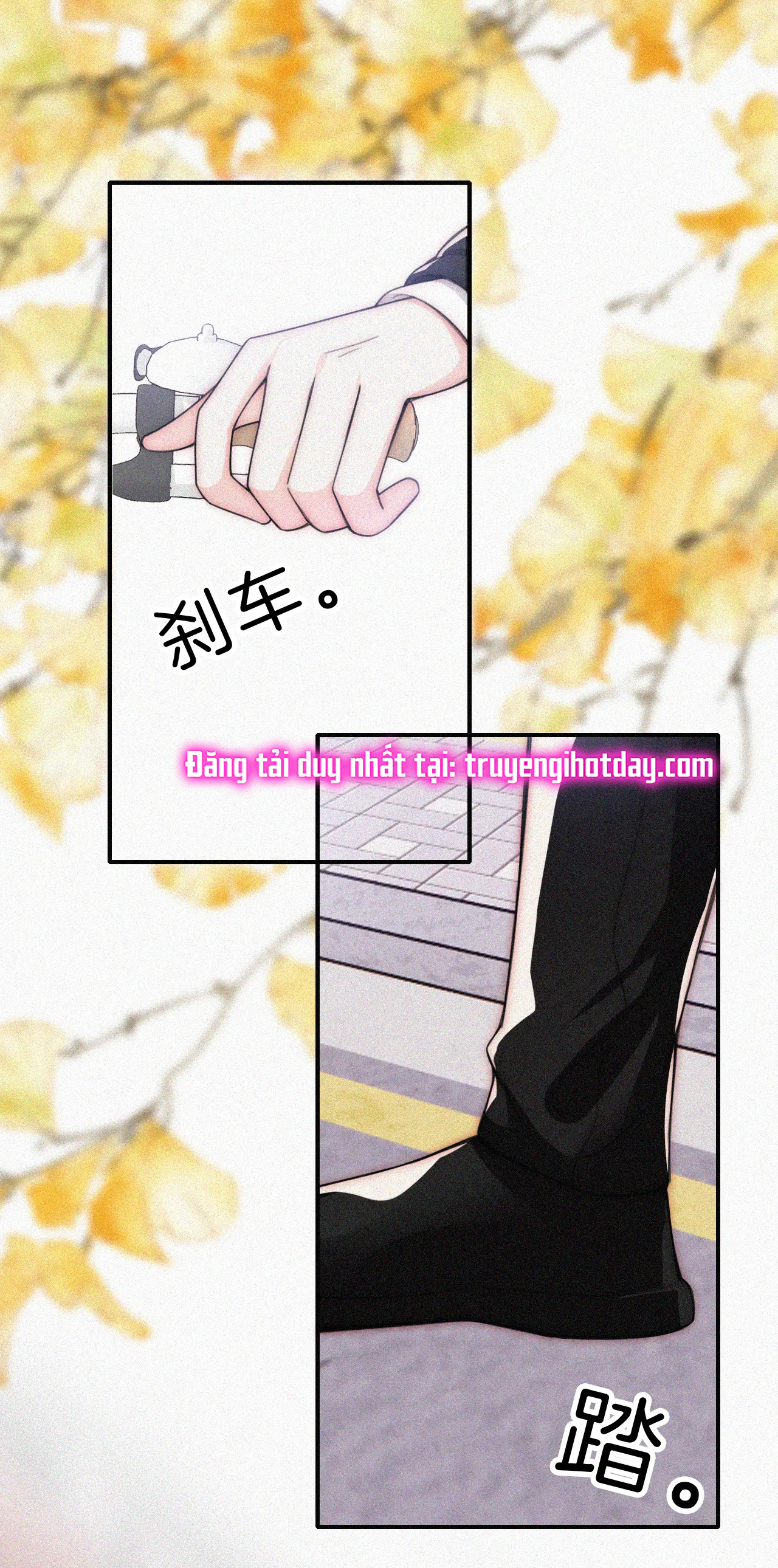 bệnh yêu chapter 50.2 22