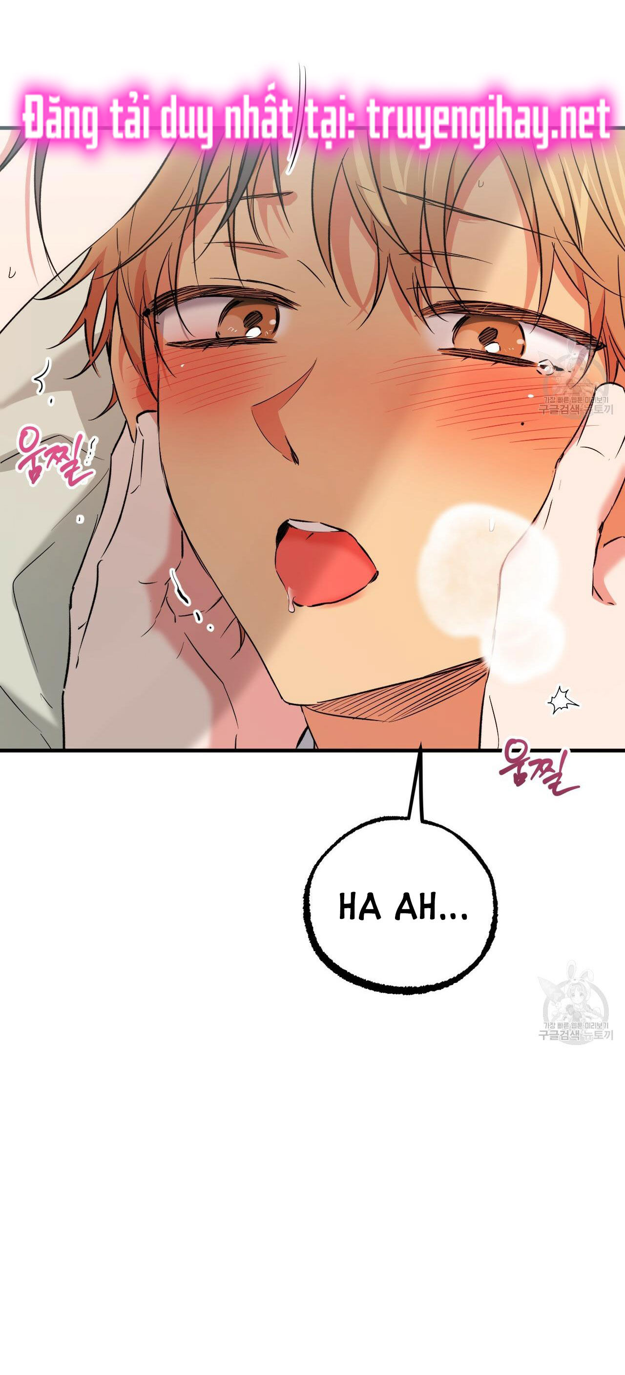 những chú thỏ của hapypy chapter 54.1 14