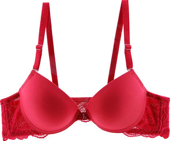 Áo Ngực Cao Cấp Mignon Cúp Nâng An403