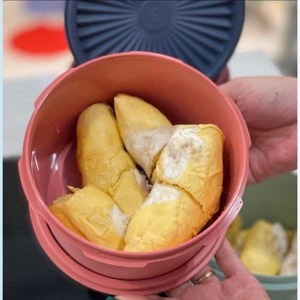 Bộ Hộp Bảo Quản Thực Phẩm Tupperware Mini Deco - Kín Nước - Đóng Hộp Chỉ Một Nút Ấn