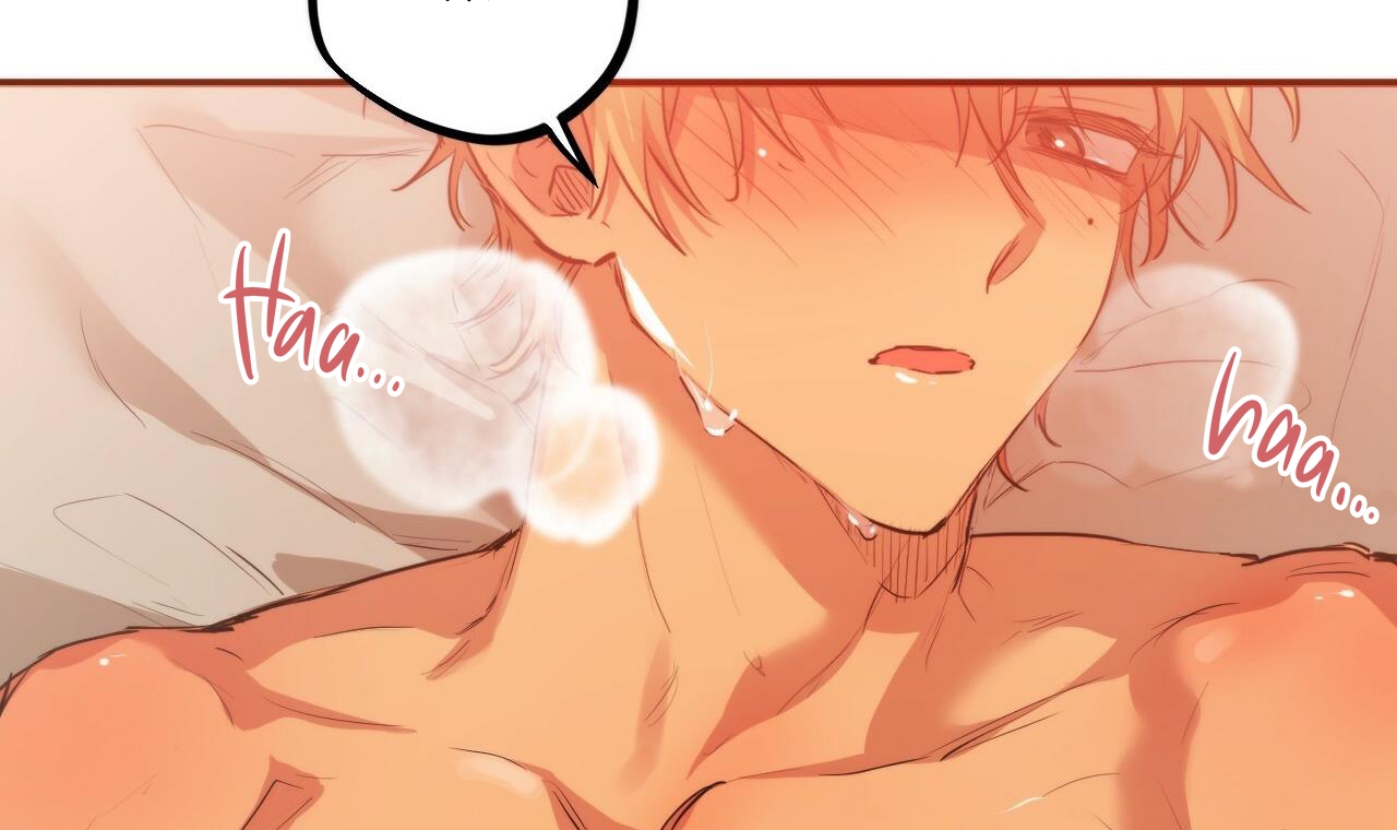 đàn thỏ của habibi chapter 25 145