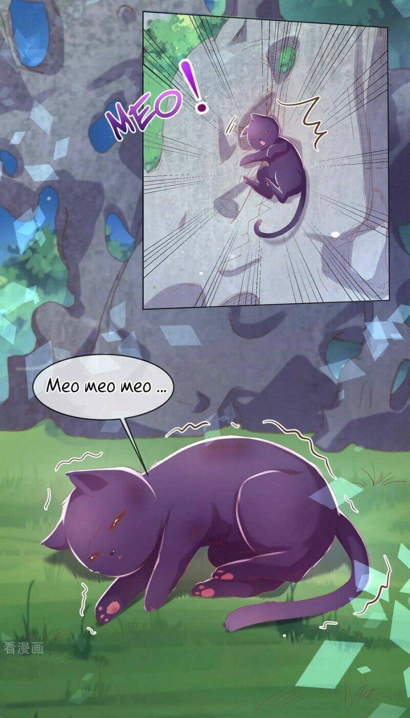 thị huyết y phi chapter 82 2