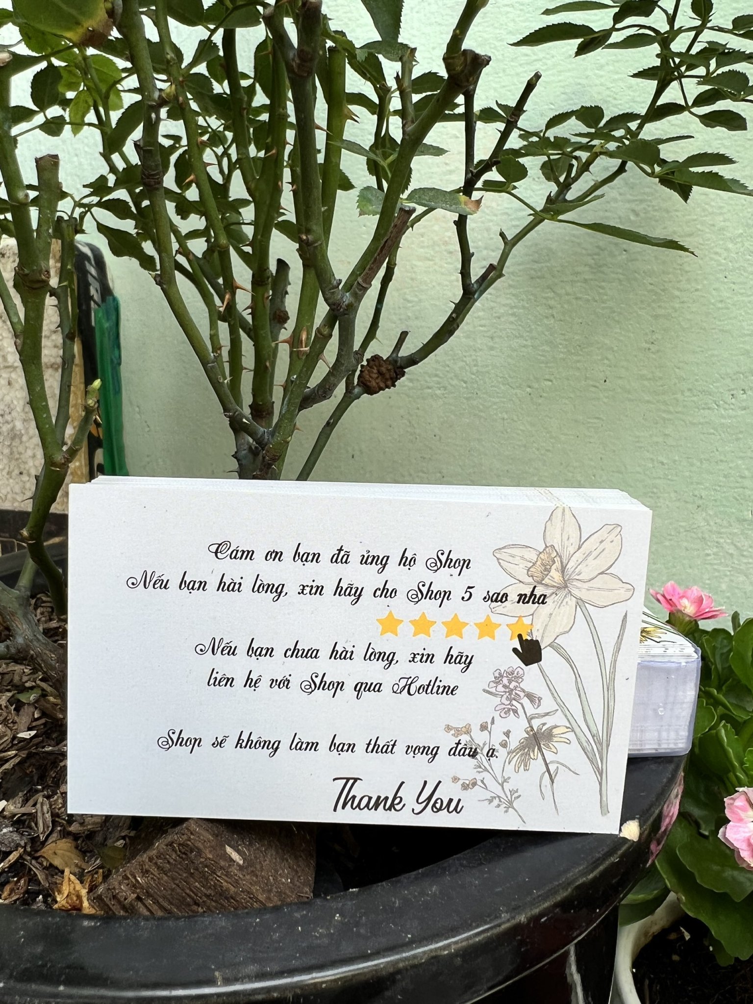 Combo 100 card Cảm Ơn, Card Thank You, Thiệp Cảm Ơn Khách hàng