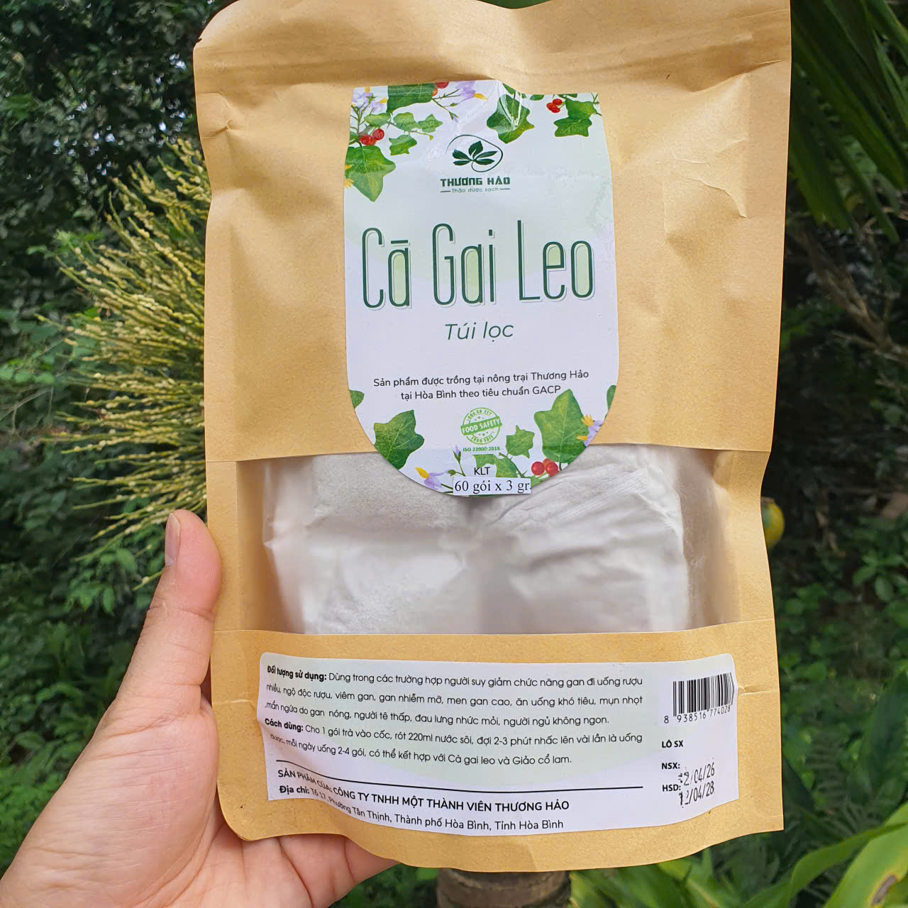 Túi 60 gói trà túi lọc Cà Gai Leo Hòa Bình-Tốt cho gan