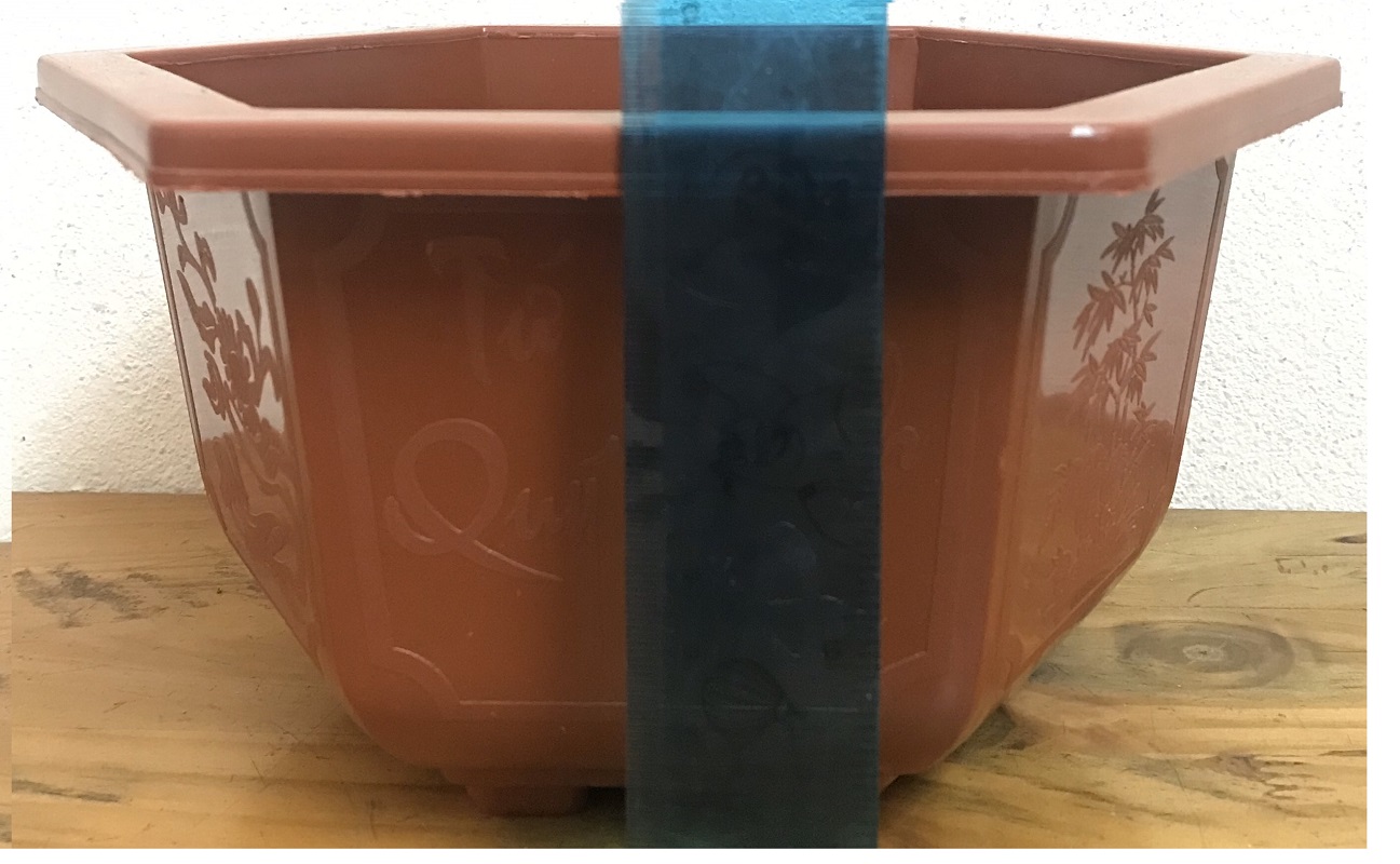 10 Châu Nhựa Bonsai Lục Giác Bình Thuận 250x150 Trồng Hoa, Cây Cảnh