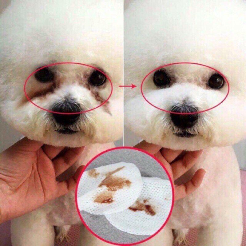 Bông lau vết ố mắt cho chó mèo