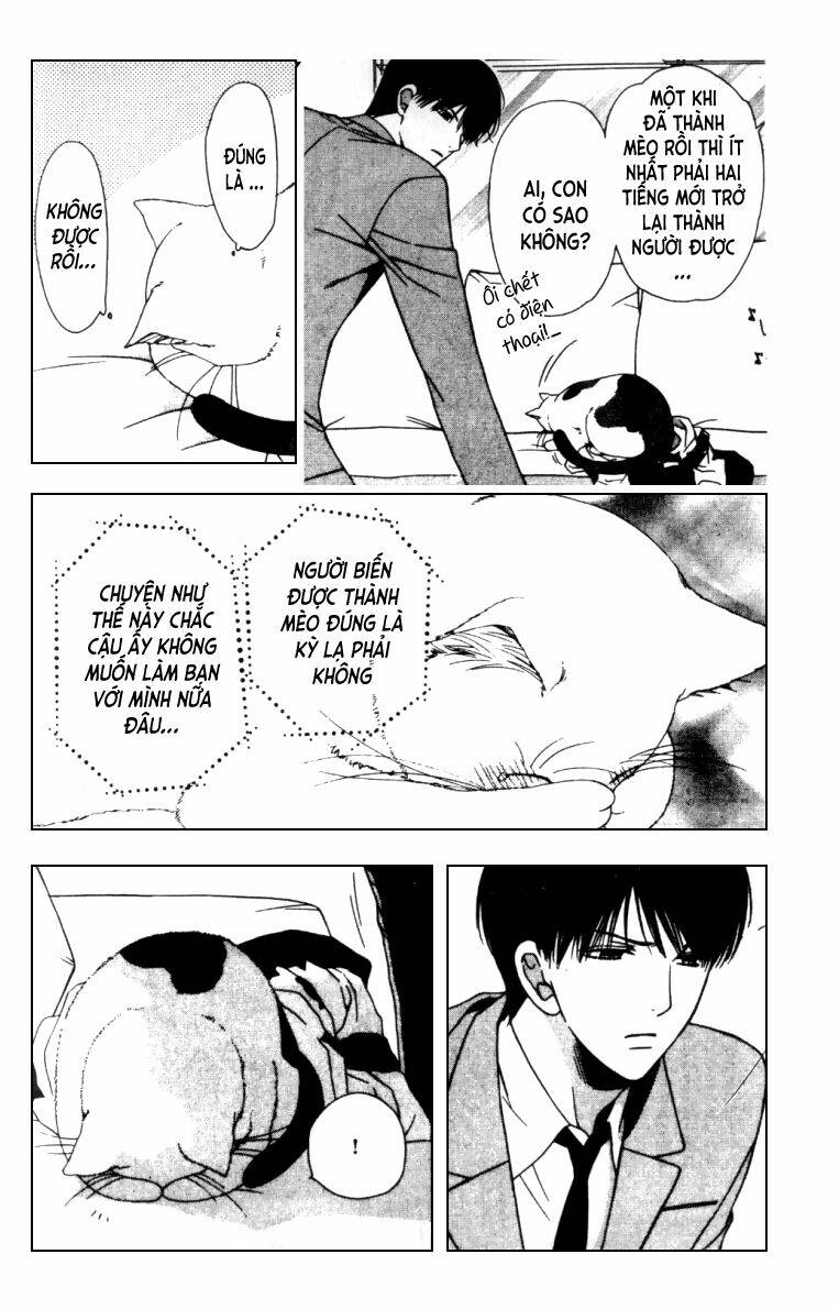 neko neko honey chapter 5 11