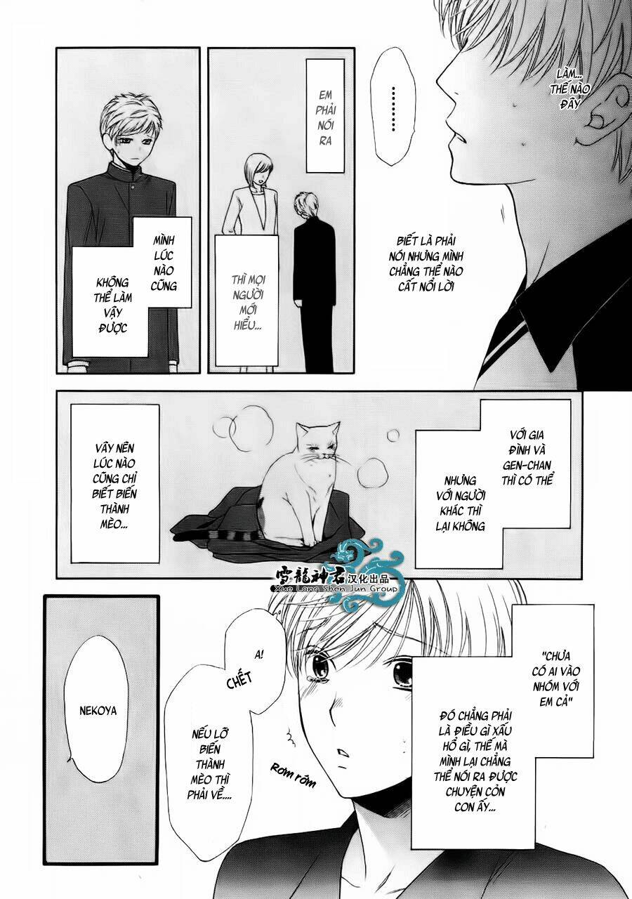 neko neko honey chapter 8 6