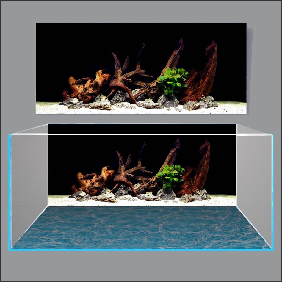 TRANH THỦY SINH DÁN HỒ CÁ 3D NEW DESIGN