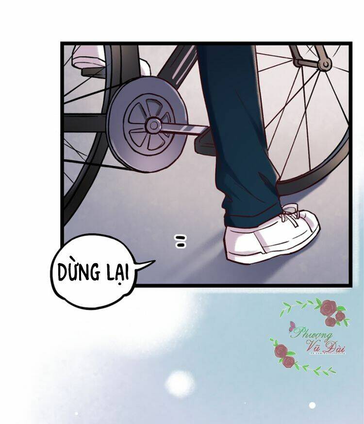 trạch thượng tịch mịch huỳnh hỏa chapter 3 56