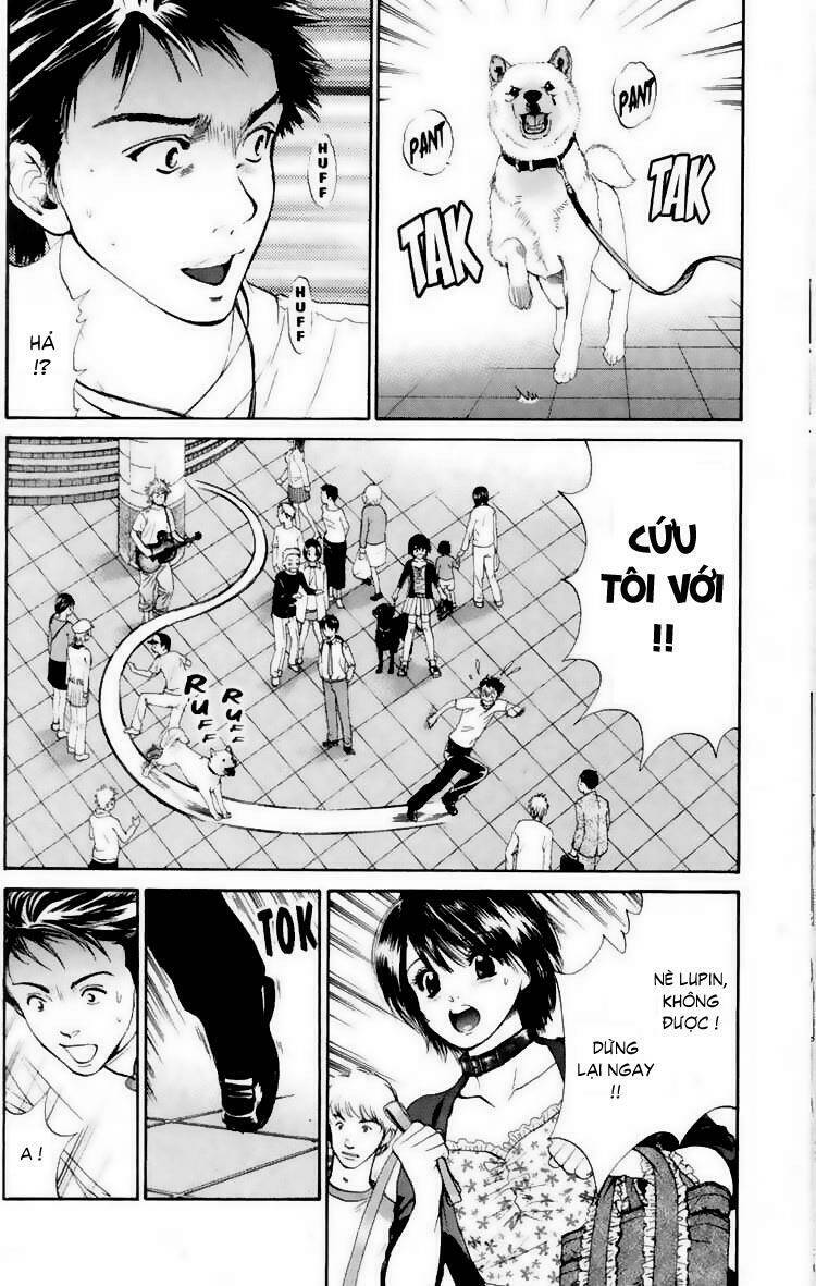 cô nàng yêu chó chapter 17 10