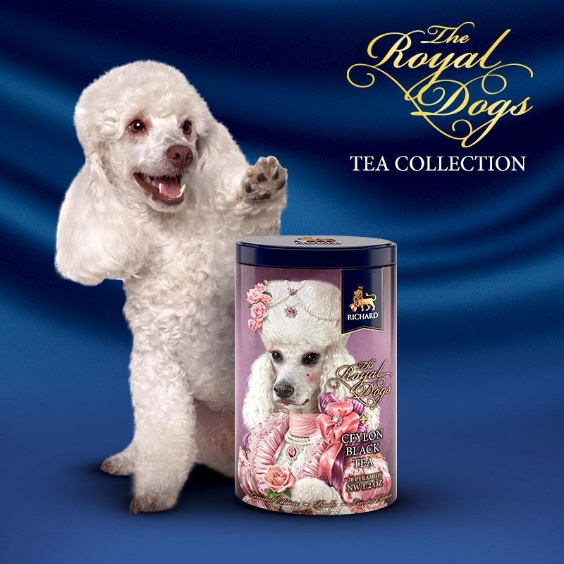 Trà Đen Ceylon Túi Lọc Hiệu Richard Hộp - Tea Richard The Royal Dogs, Poodle