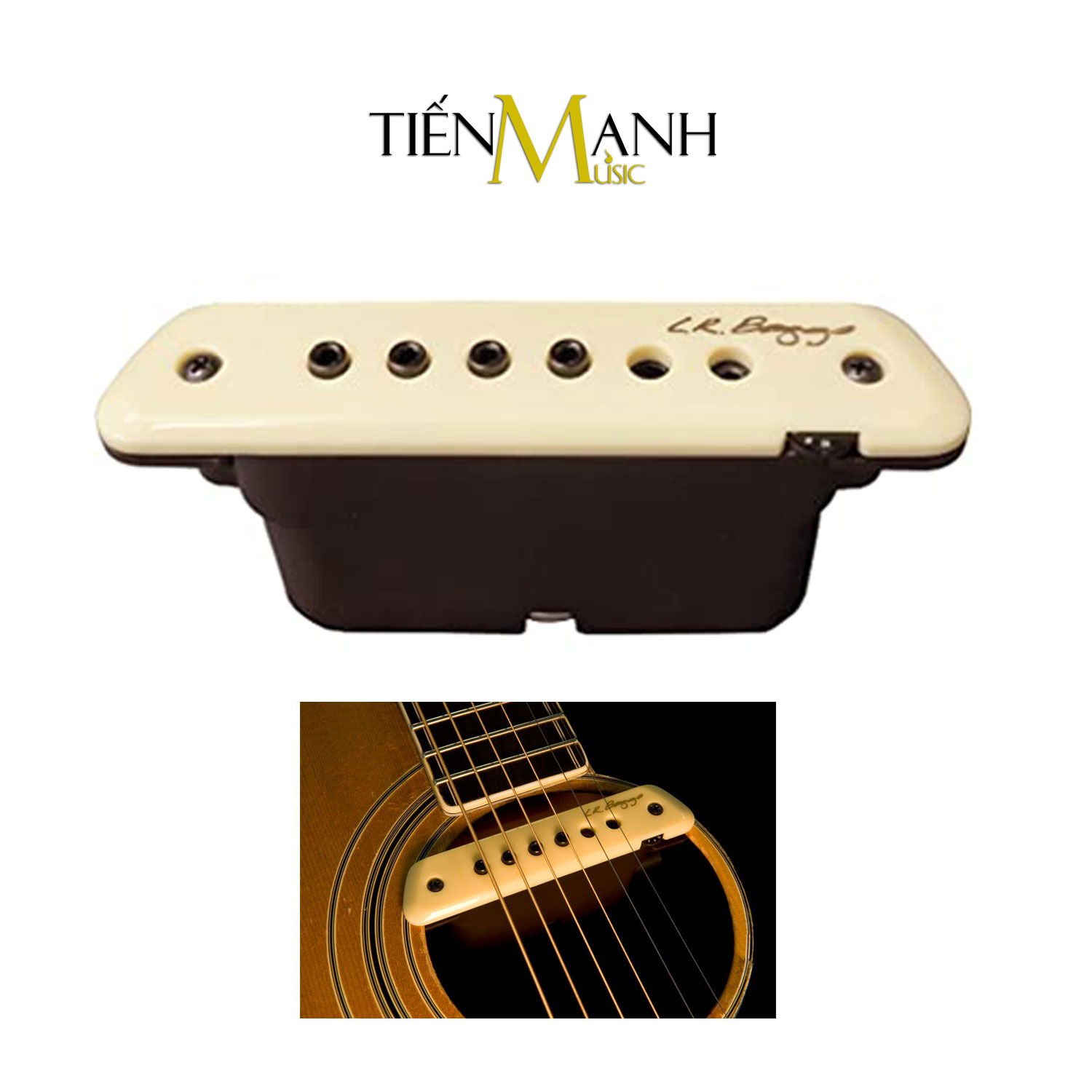 Acoustic Guitar Pickup L.R. Baggs M1 Active Bộ phận cảm ứng âm thanh LR Baggs Magnetic Soundhole Hàng Chính Hãng - Kèm Móng Gẩy DreamMaker