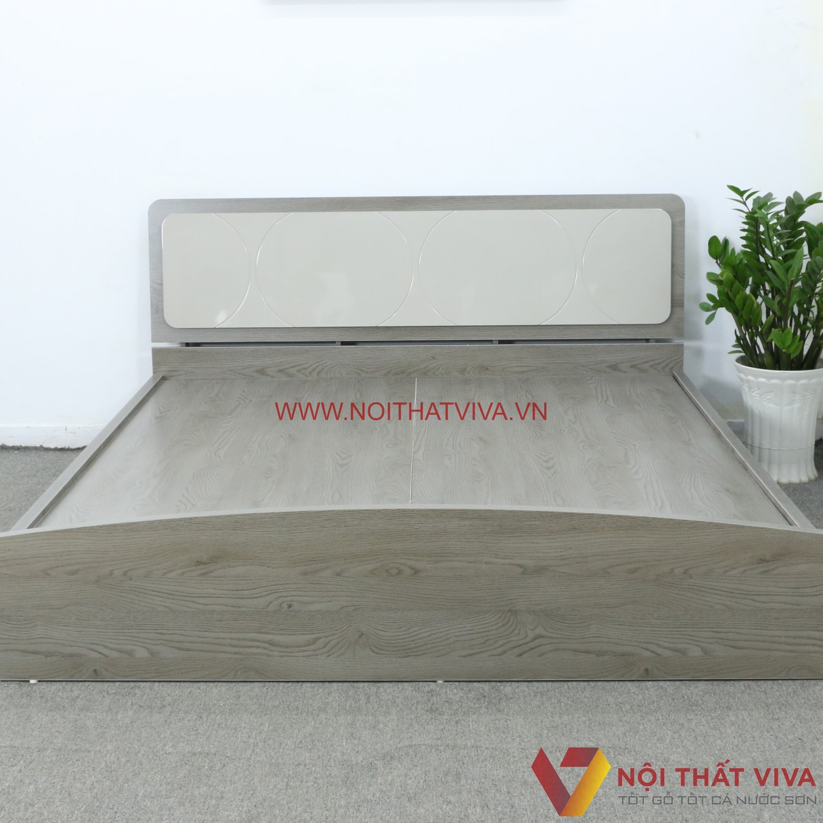 Giường Gỗ Công Nghiệp Đẹp Màu Xám Phối Kem Chạm Hoạ Tiết Cao Cấp