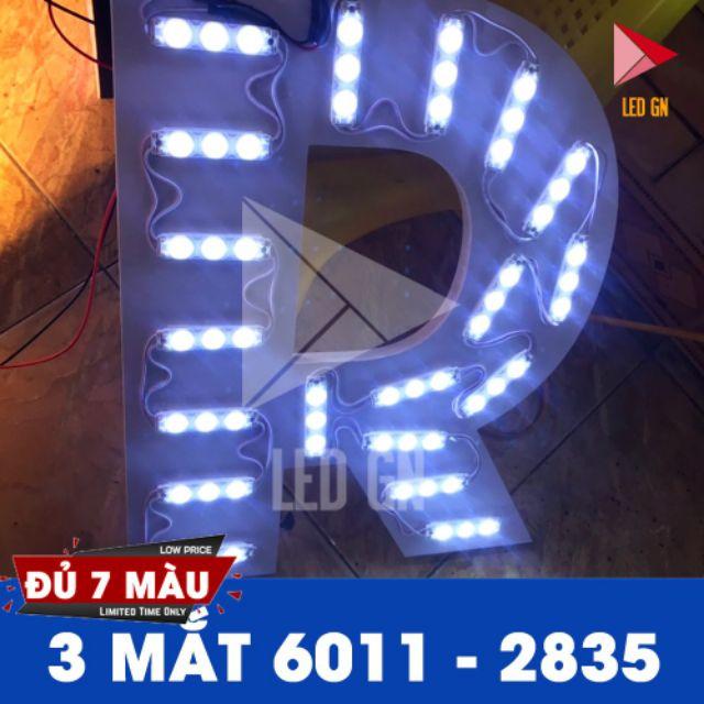 Led hắt chất lượng cao chống nước một vỉ 20 thanh siêu sáng