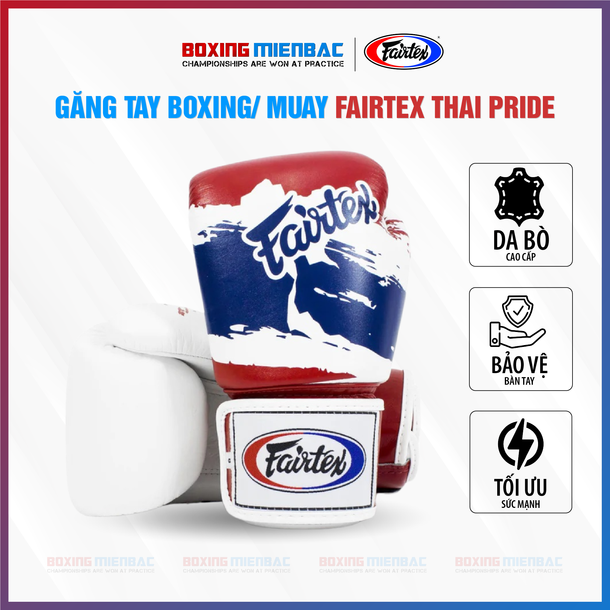 Găng Tay Boxing/ Muay Fairtex Thai Pride