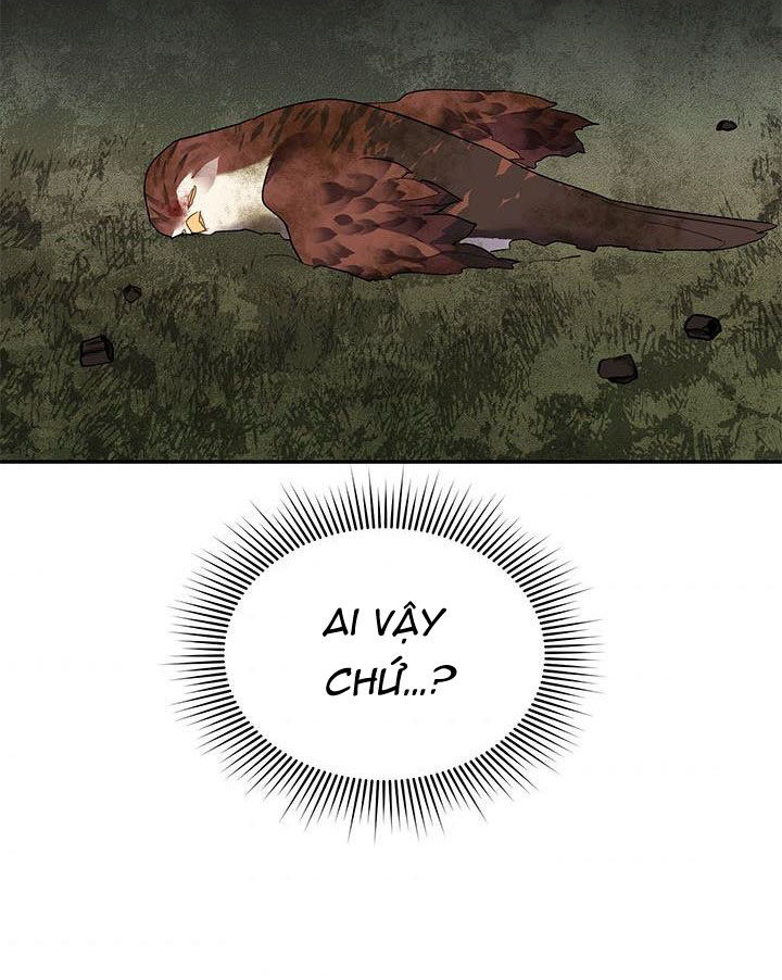 công chúa của loài chim chapter 12 4