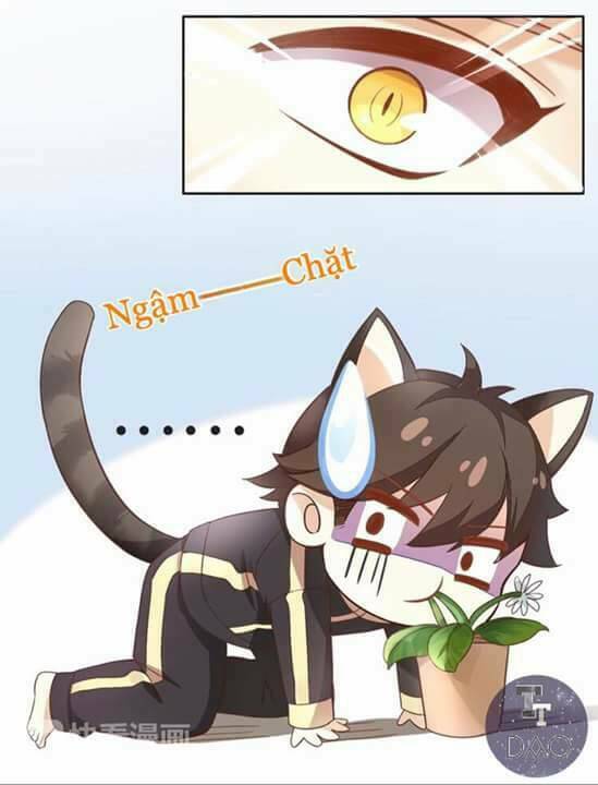 dưới móng vuốt mèo chapter 2 39