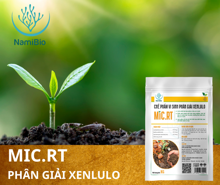 Chế phẩm vi sinh phân giải Xenlulo Xử lý chất thải làm phân ủ hữu cơ