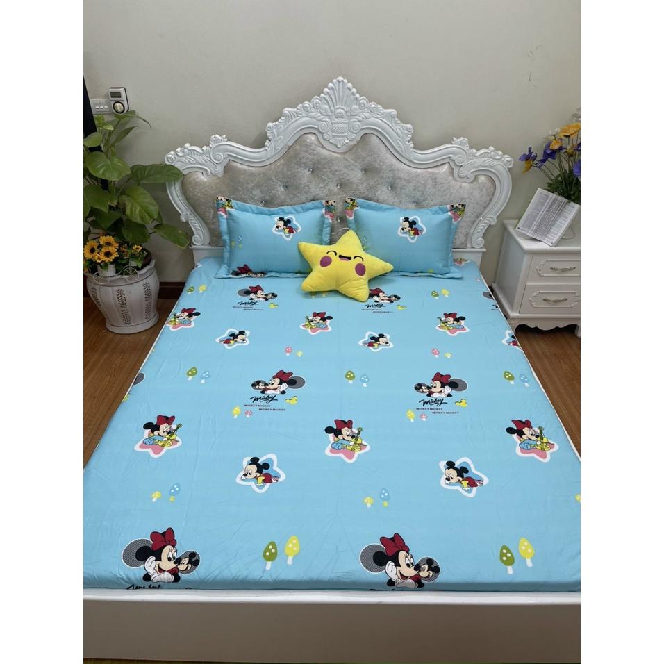 Bộ ga chun trơn và 2 vỏ gối 100% cotton hàn các kích thước