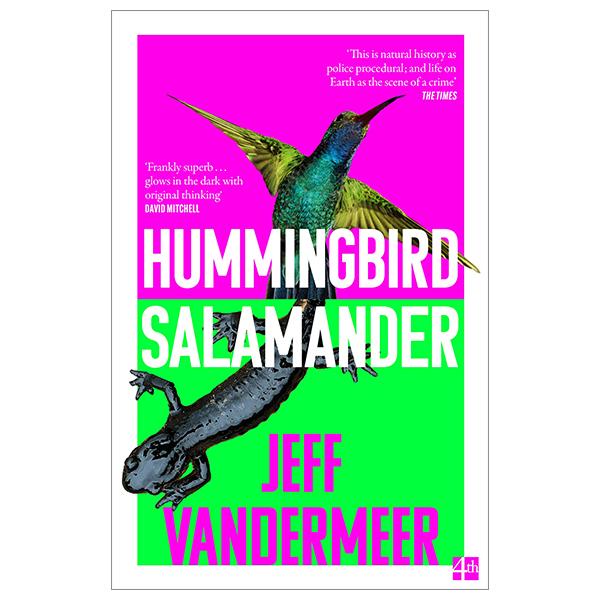 Hummingbird Salamander