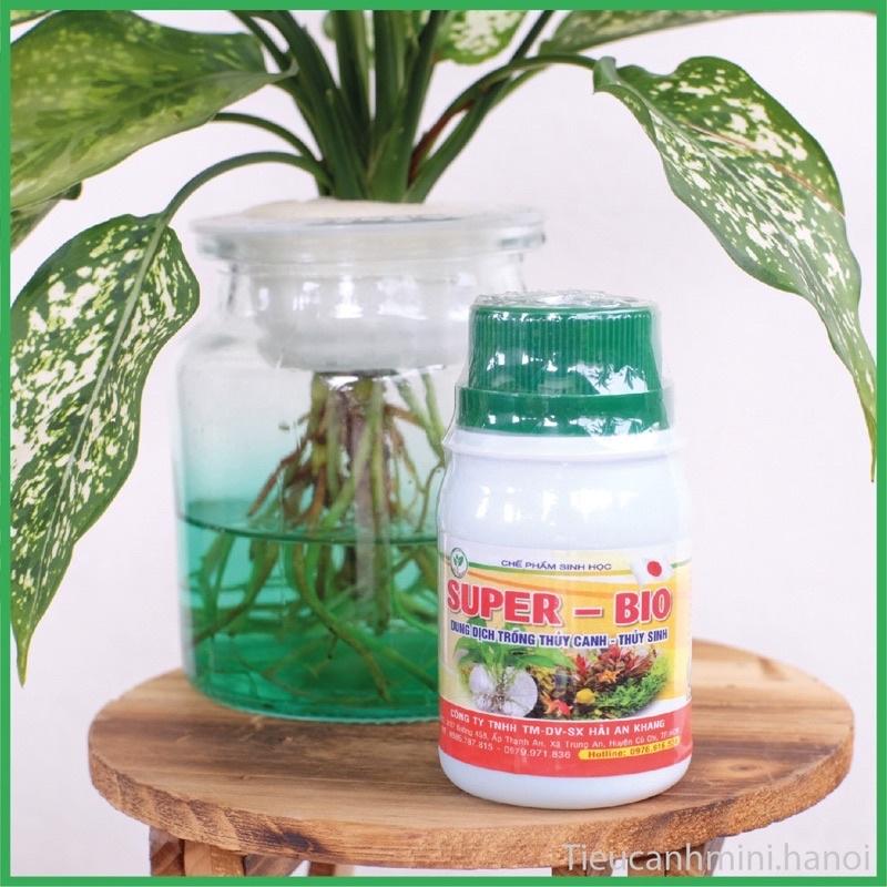 DUNG DỊCH TRỒNG THỦY CANH, THỦY SINH
