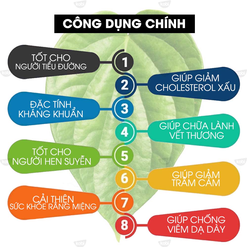 Tinh Dầu Lá Trầu Không Kobi Piper Betel Leaf Essential Oil Giúp Chống Viêm Nhiễm, Giảm Đau, Kích Thích Tiêu Hóa - 5ml