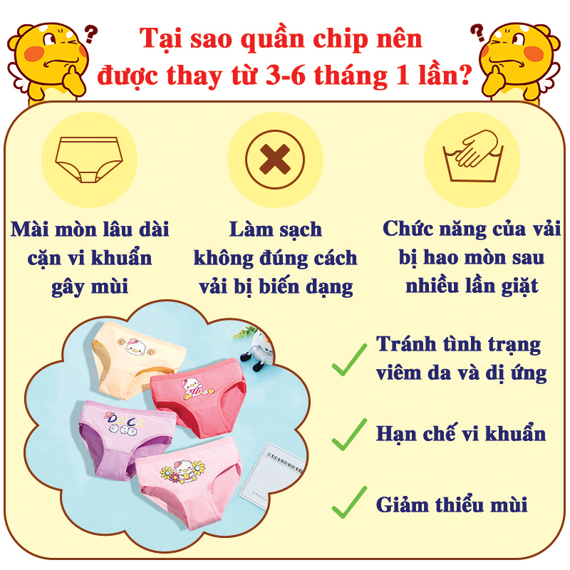 Quần chip bé gái, Quần chip cho bé 2-12 tuổi hình vịt chất thun co giãn thoáng mát nhiều màu sắc – C013