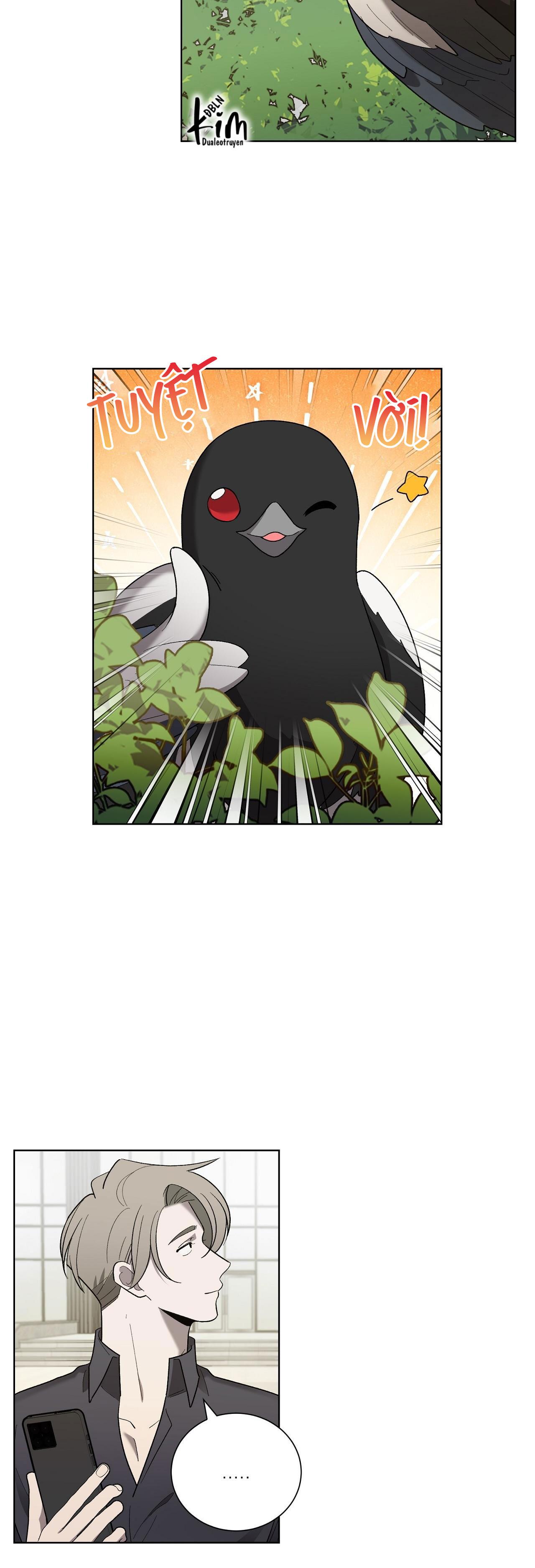 khi chim thước đến chapter 10 30