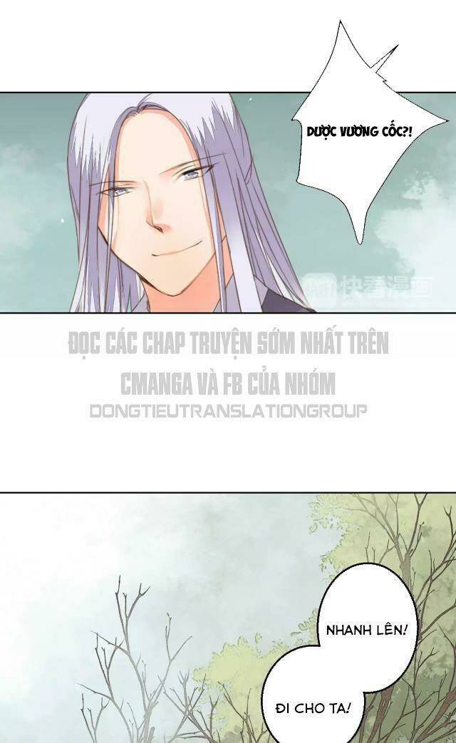 đốt đào hoa chapter 74 12