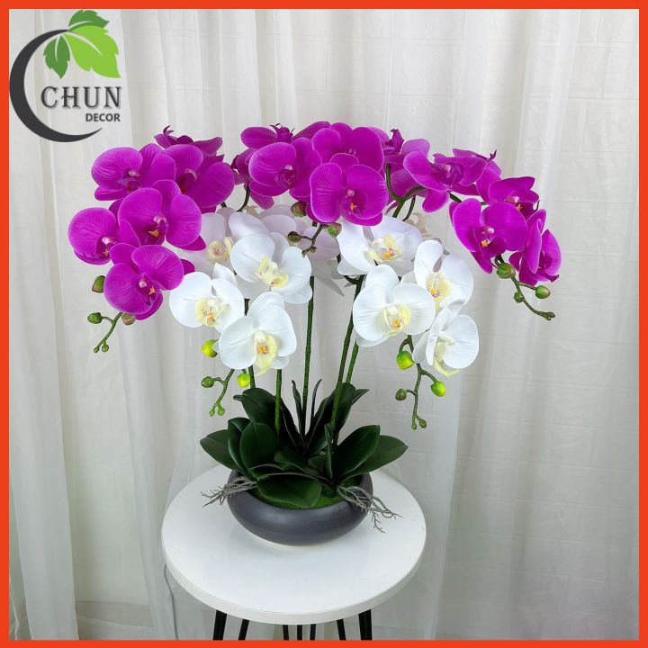 Chậu Lan Giả, Chậu Lan Hồ Điệp Cao 60cm Tán Tròn 360 Độ Trang Trí Nhà Cửa, Cửa Hàng, Văn Phòng, Lớp Học