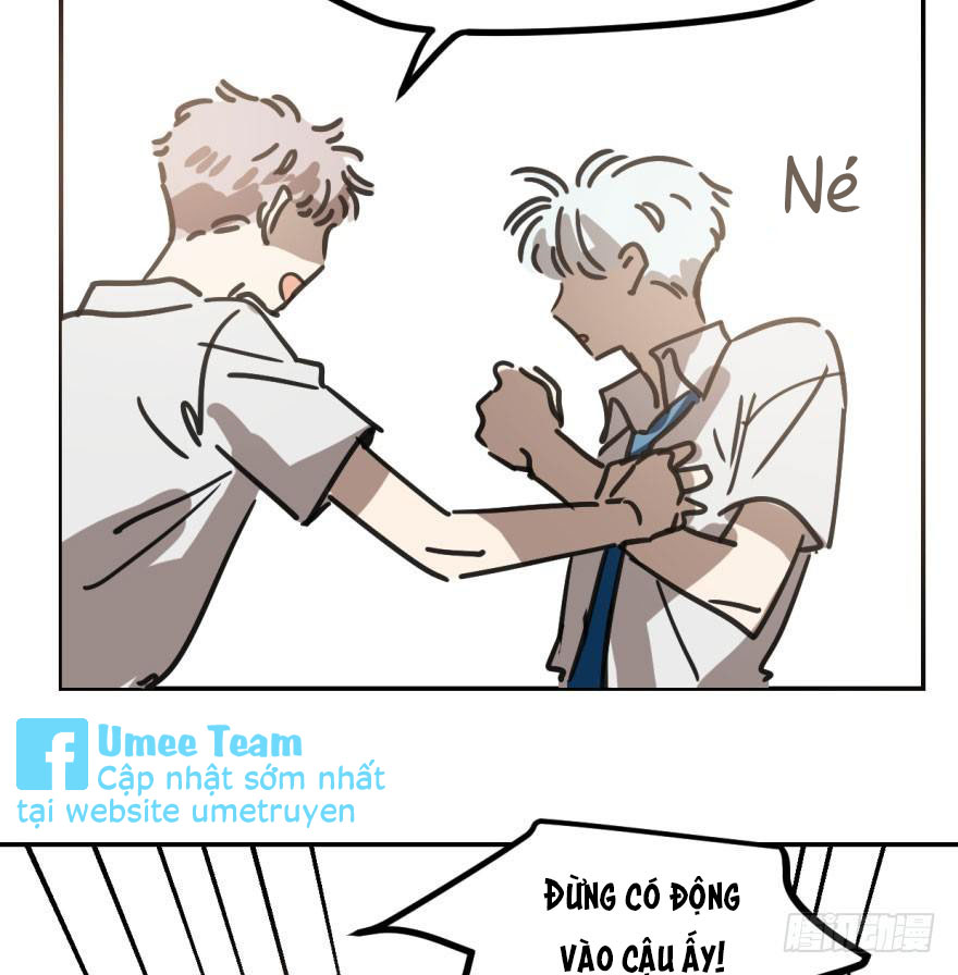 bắt lấy ngao ngao chapter 39 13