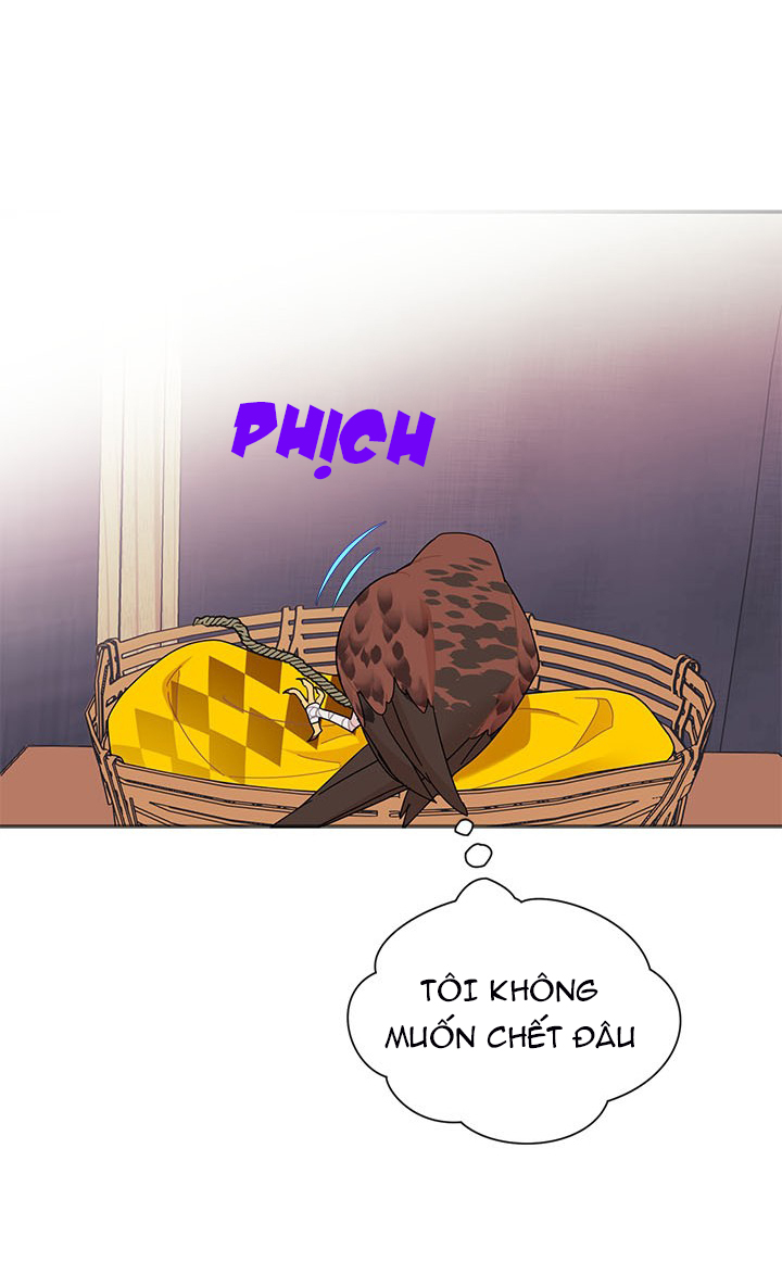công chúa của loài chim chapter 18 57