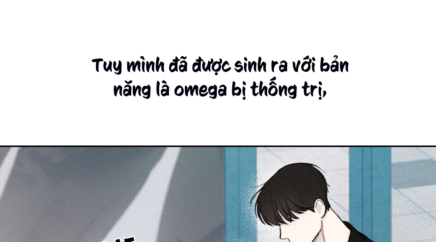 Tháng 12 Của Tôi chapter 8