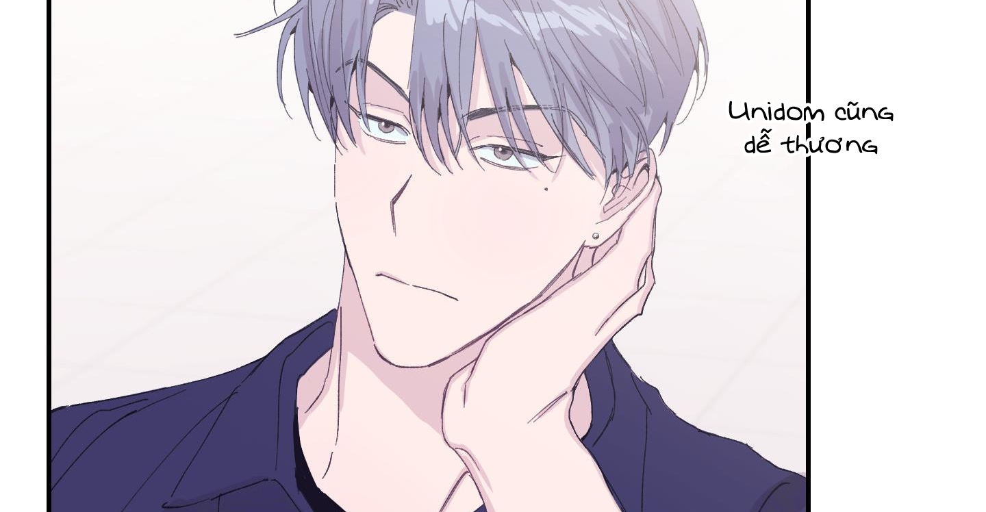 lãng mạn giả dối chapter 10 114