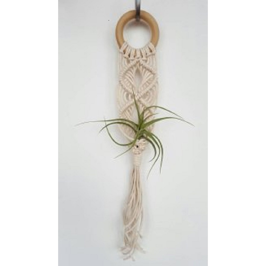 Dây treo cây không khí macrame handmade