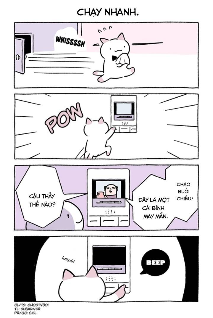 chú mèo kỳ diệu kyuu-chan chapter 781 3