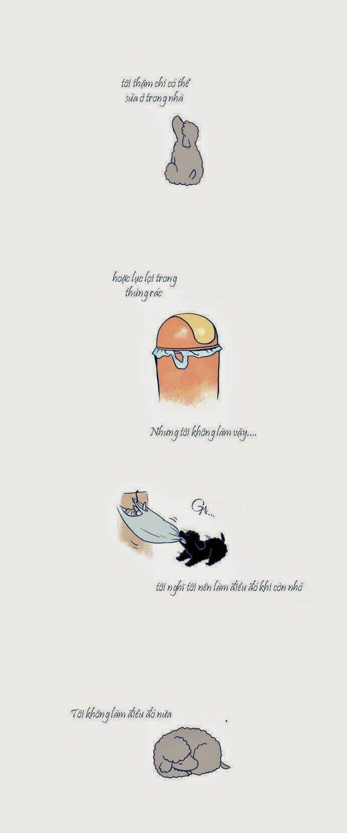 mèo con và chú chó già của tôi chapter 6 2