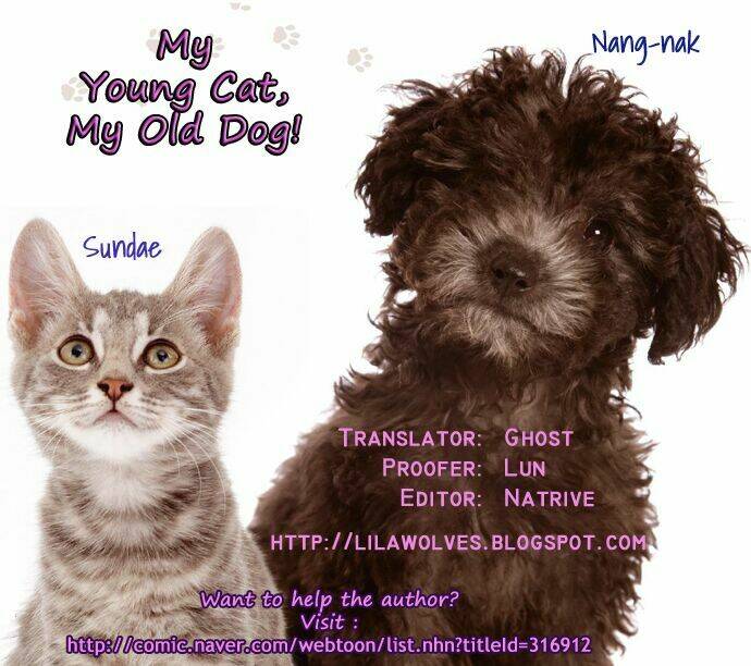 my young cat and my old dog chapter 22 7