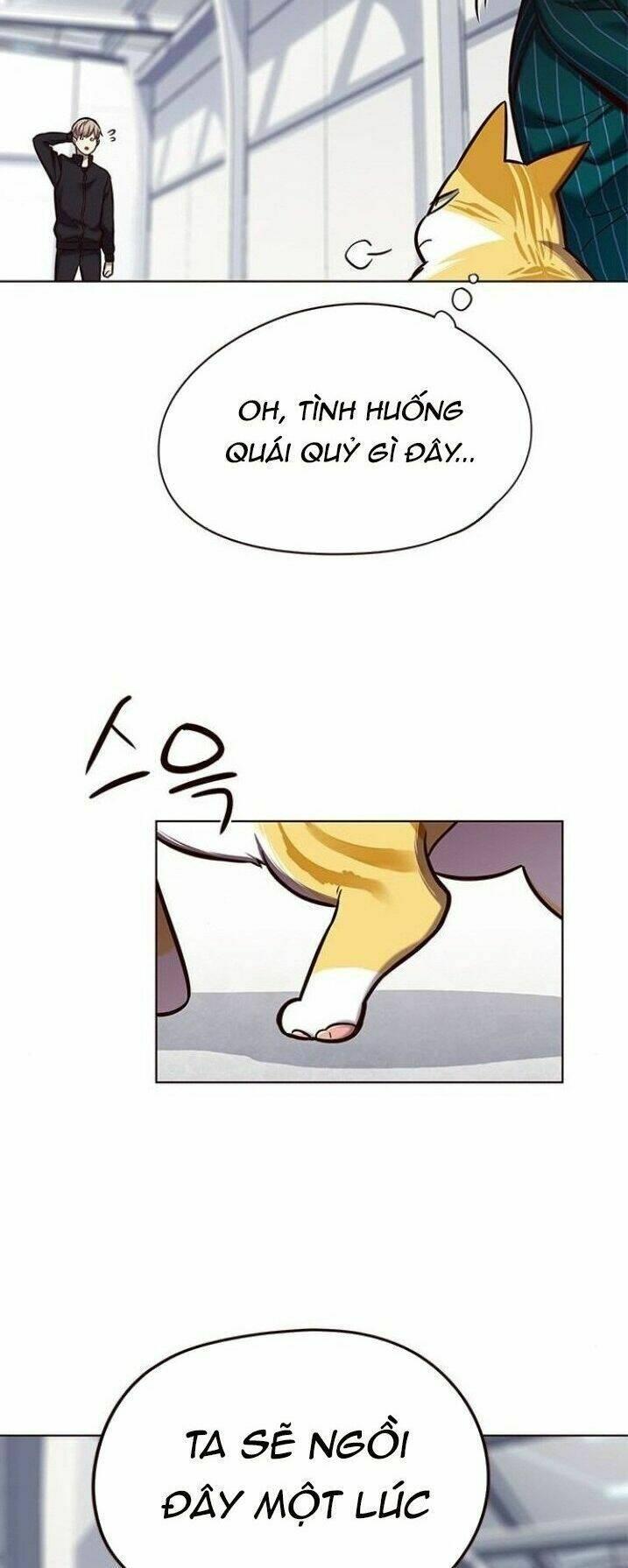 biến thân thành mèo chapter 119 52