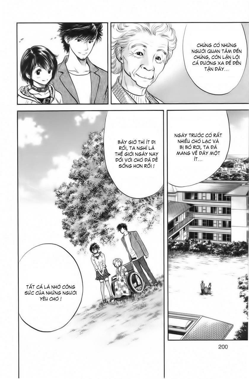 cô nàng yêu chó chapter 30 15