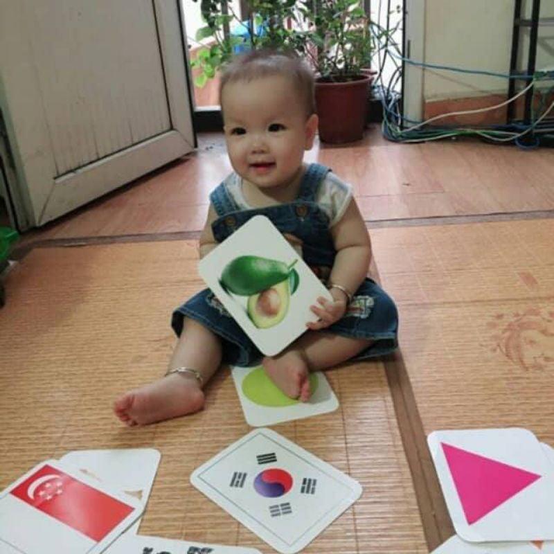 Bộ Thẻ Học Thông Minh 18 Chủ Đề TGXQ loại To song ngữ A-V loại chuẩn Glenn Doman Flashcard cho bé từ 0-6 tuổi