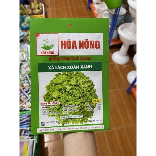 Hạt giống Xà lách xoăn xanh/ tím cao sản 3gr/ gói