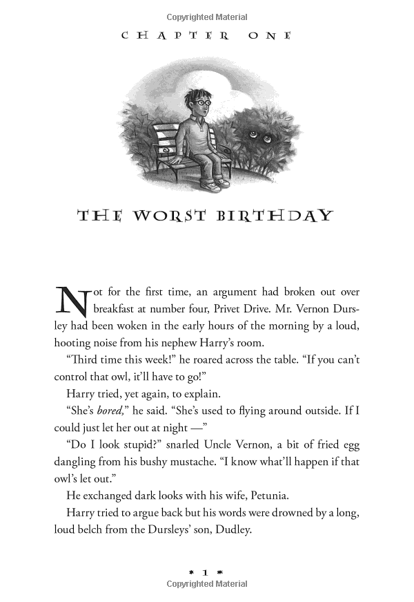 Sách Harry Potter And The Chamber Of Secrets (Harry Potter và Phòng chứa bí mật) (English Book)