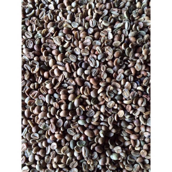 NHÂN CÀ PHÊ MOKA CHƯA RANG