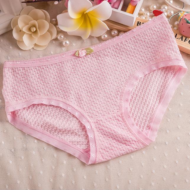 Combo 5 quần lót nữ Cotton QL 8108-1