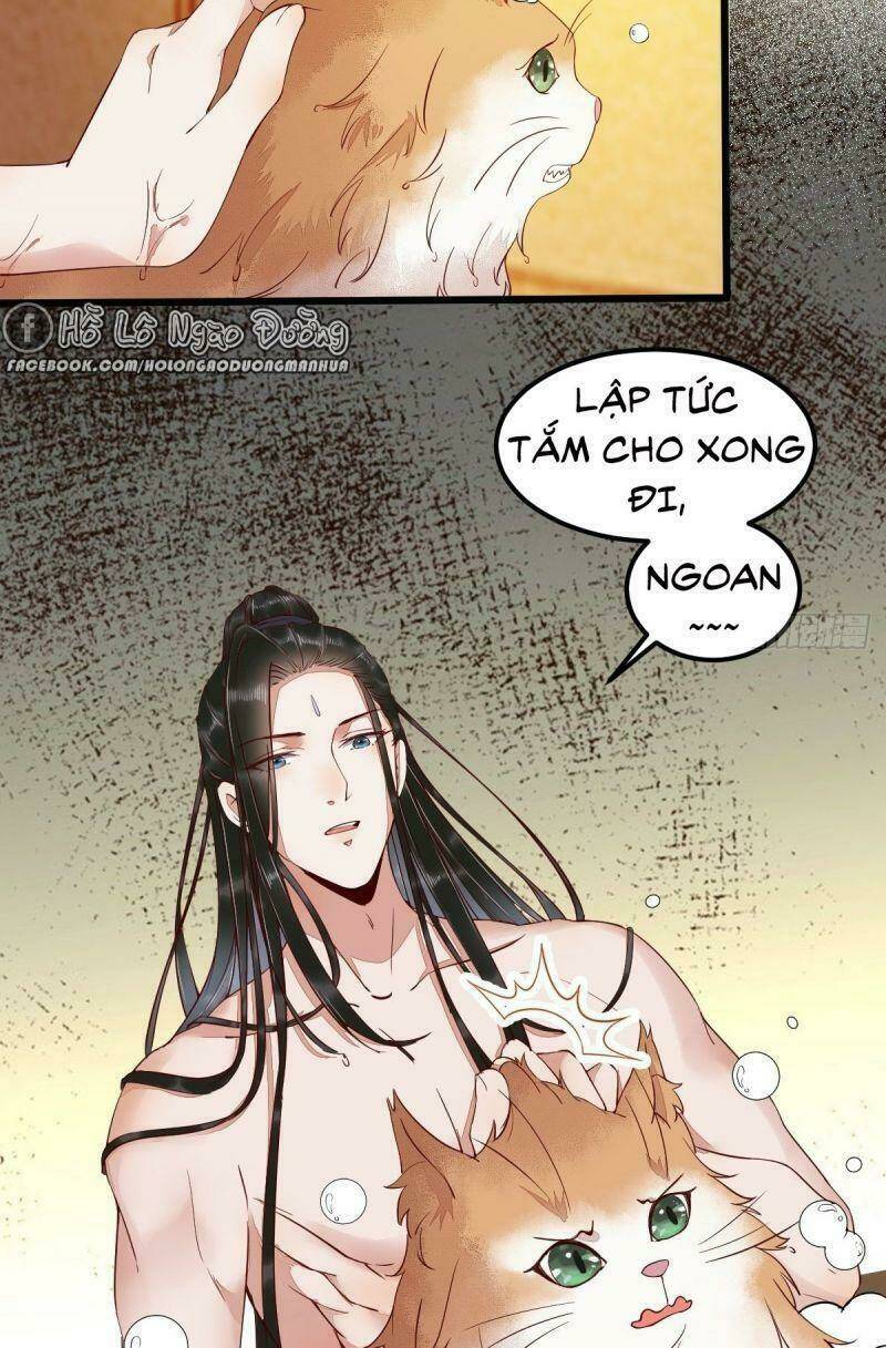 sát thủ vương phi không dễ chọc chapter 41 7