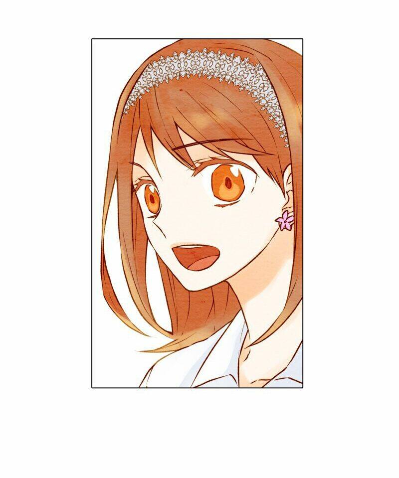 sự sao chép chapter 3 13