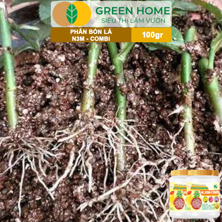 Phân Bón Lá Greenhome, N3M Combi, Hũ 100gr, Ra Rễ Cực Mạnh Dùng Giâm, Chiết Cành, Ngâm Hạt, Kiểng